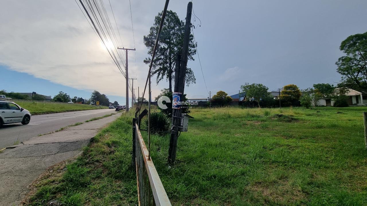 Terreno à venda no Pé de Plátano: 