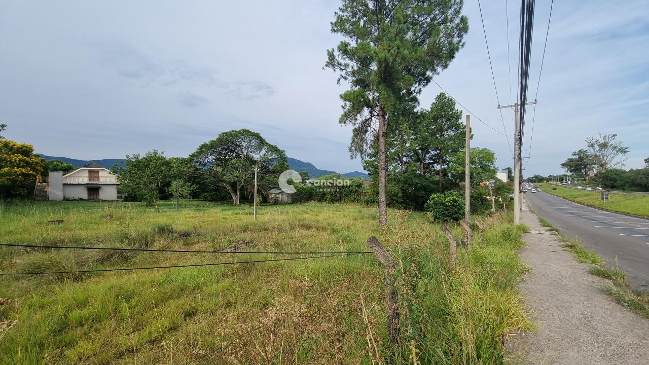 Terreno à venda no Pé de Plátano: 