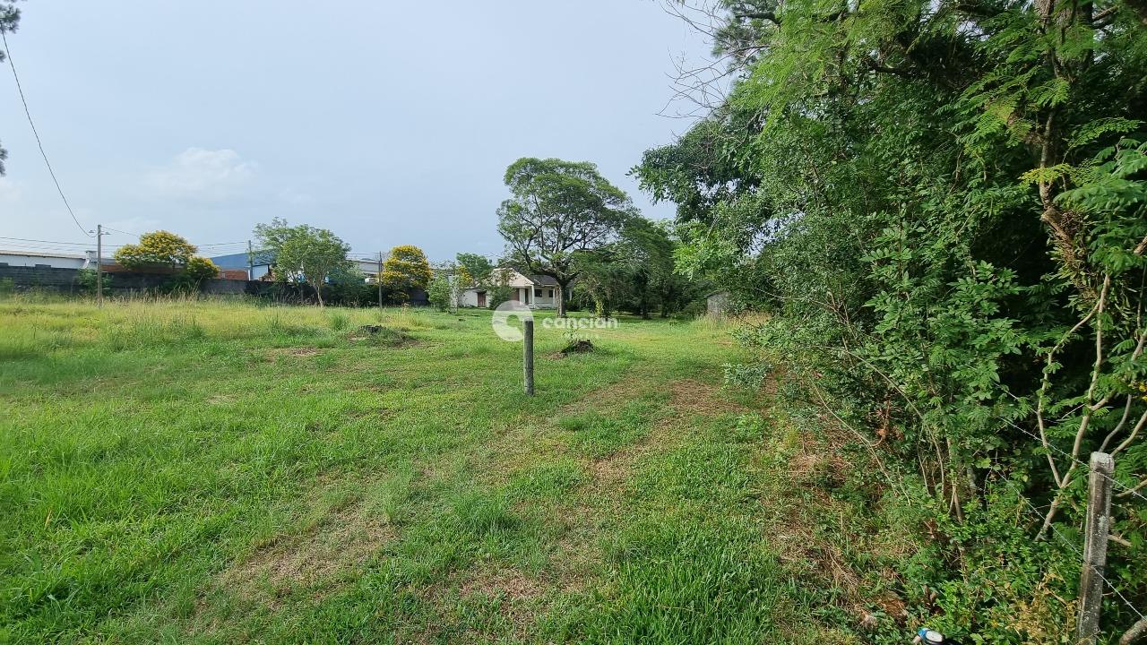 Terreno à venda no Pé de Plátano: 