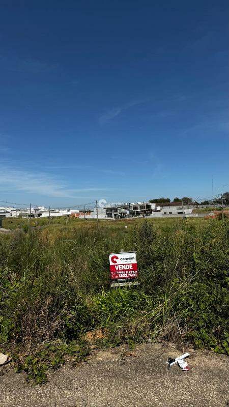 Terreno à venda no Pinheiro Machado: 