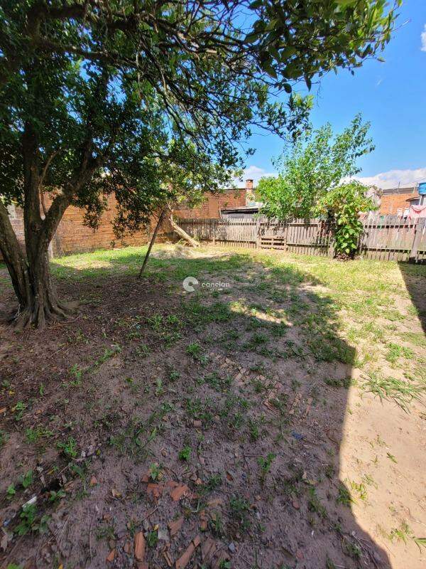 Casa para aluguel no São João: 