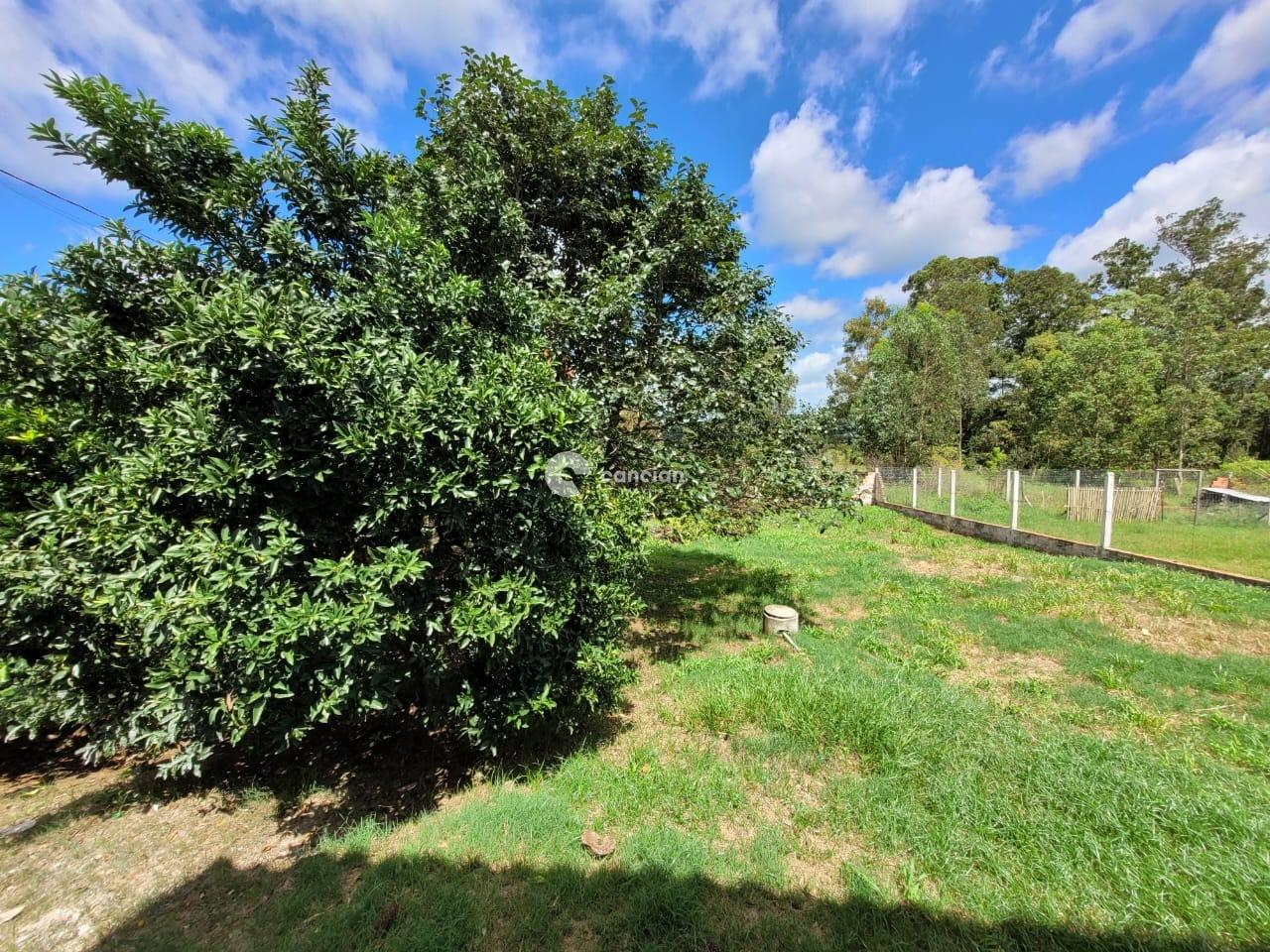 Casa para aluguel no Boca do Monte: