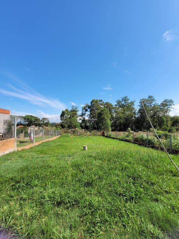 Casa para aluguel no Boca do Monte: 