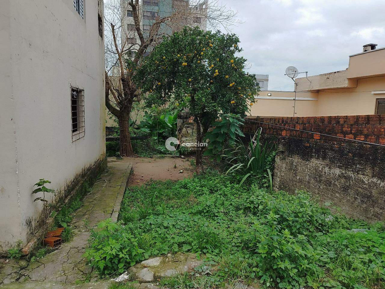 Casa para aluguel no Nossa Senhora das Dores: 