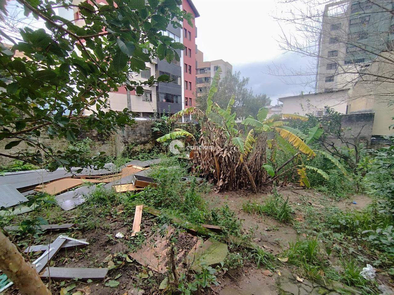 Casa para aluguel no Nossa Senhora das Dores: 