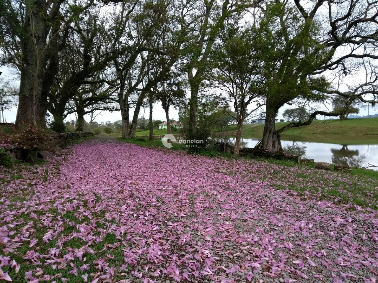 Sítio à venda no Palma: 