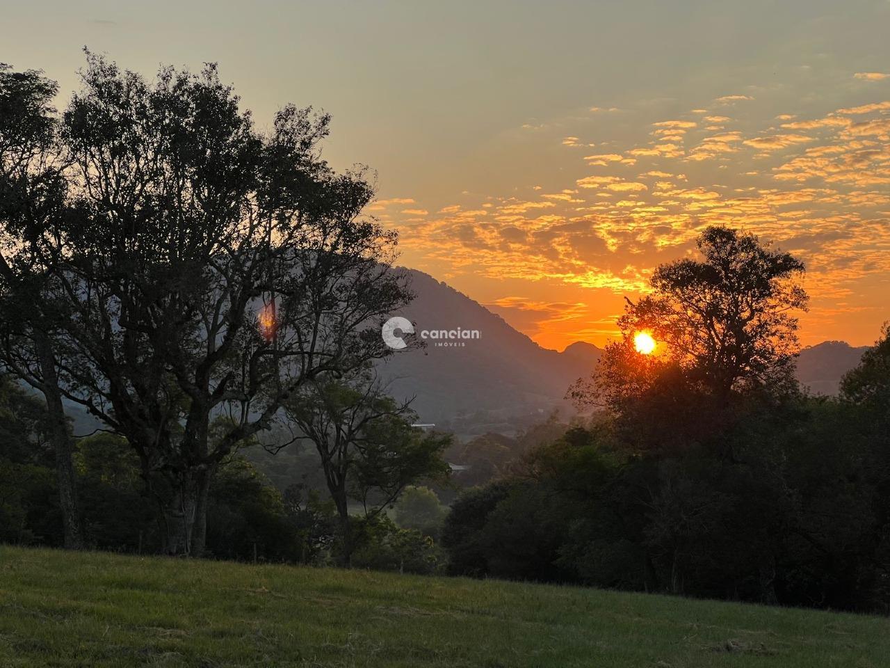 Sítio à venda no Palma: 