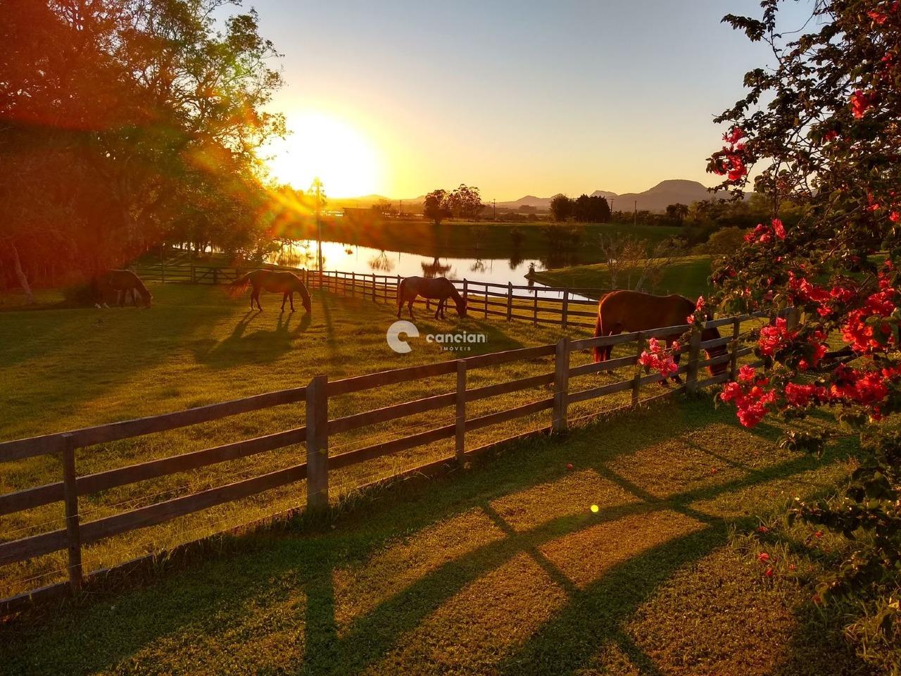 Sítio à venda no Palma: 