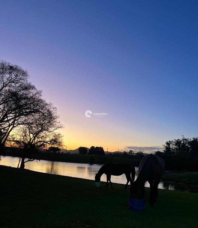 Sítio à venda no Palma: 
