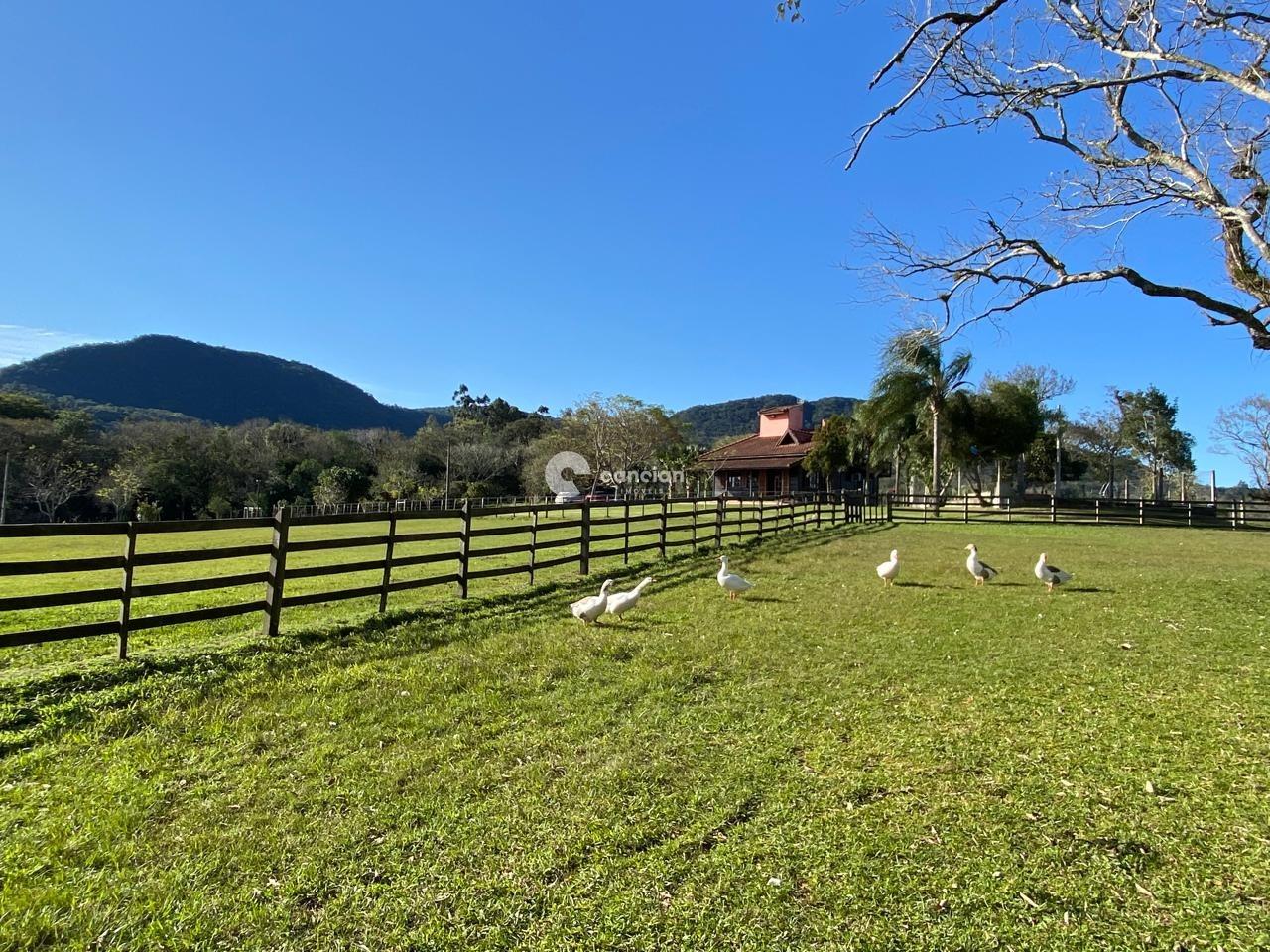 Sítio à venda no Palma: 