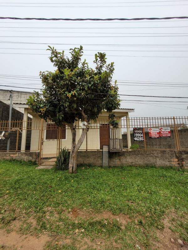 Casa para aluguel no Pinheiro Machado: