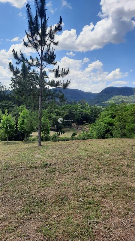 Chácara à venda no Três barras: 