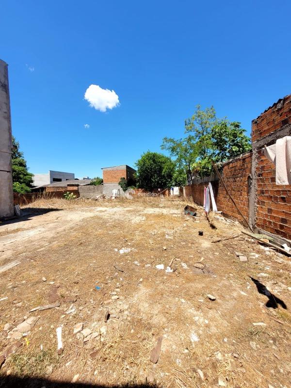 Apartamento para aluguel no Pinheiro Machado: 