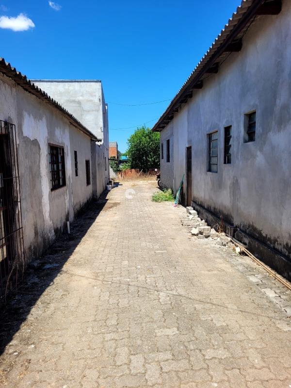 Apartamento para aluguel no Pinheiro Machado: 
