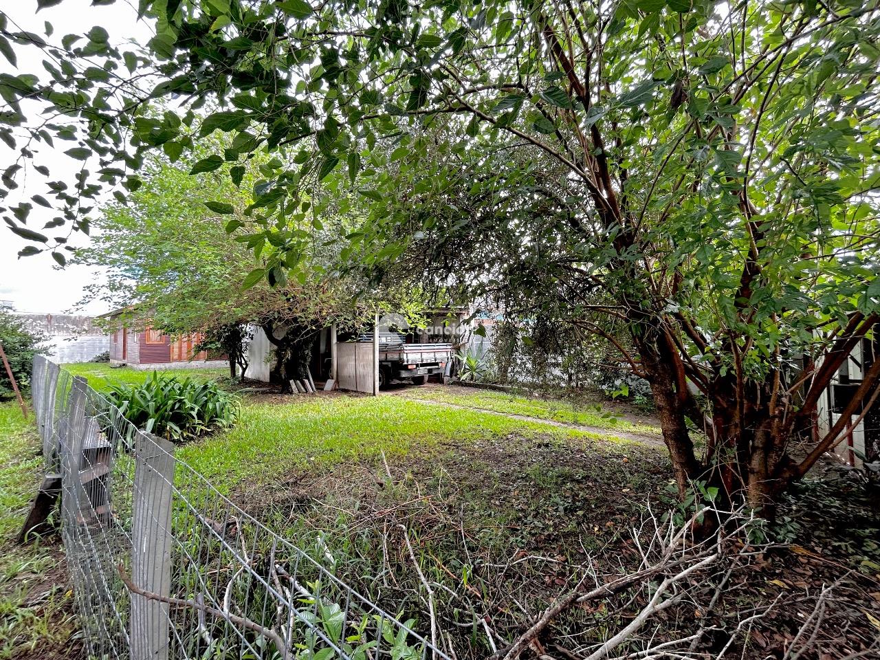 Casa à venda no Camobi: 