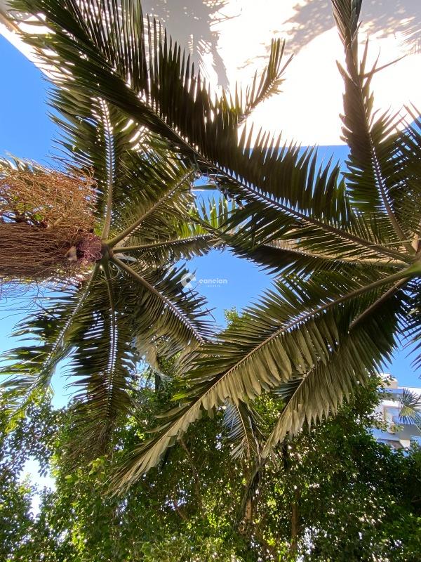 Apartamento à venda no Nossa Senhora de Fátima: 