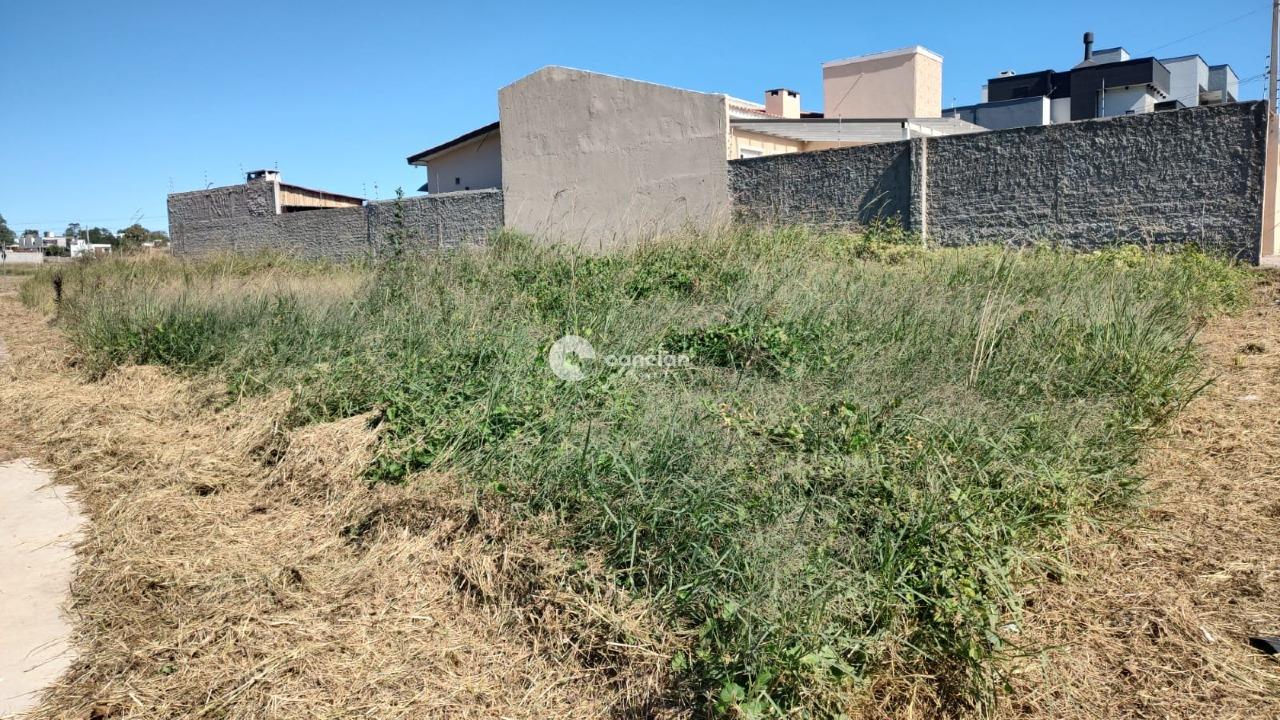 Terreno à venda no Pinheiro Machado: 