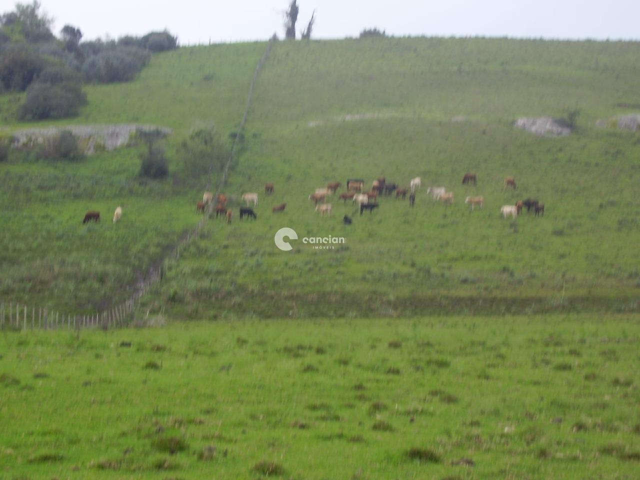 Fazenda à venda no Palmas: 