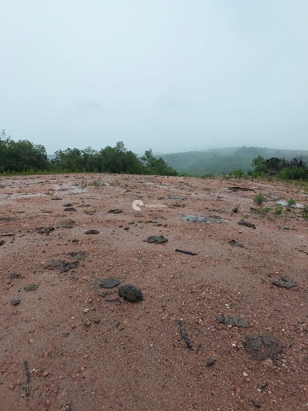 Fazenda à venda no Palmas: 