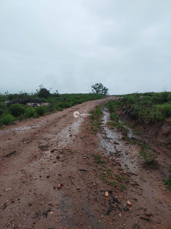 Fazenda à venda no Palmas: 
