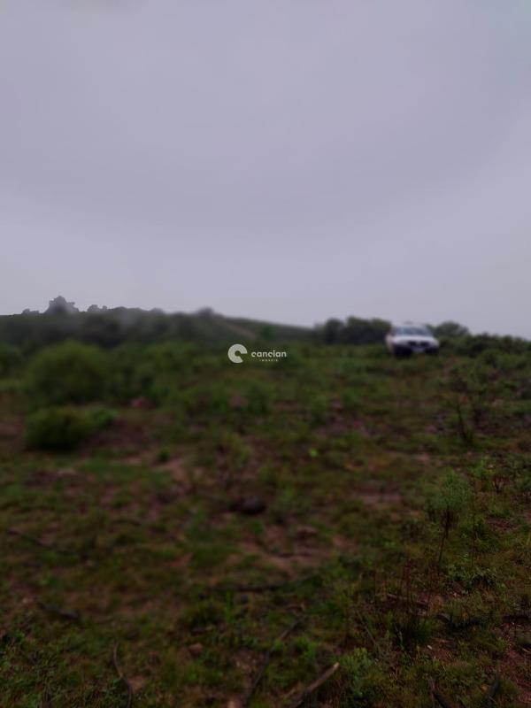 Fazenda à venda no Palmas: 