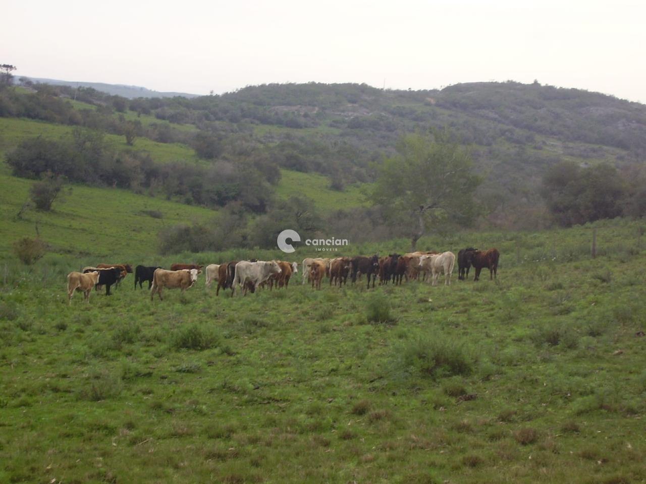 Fazenda à venda no Palmas: 
