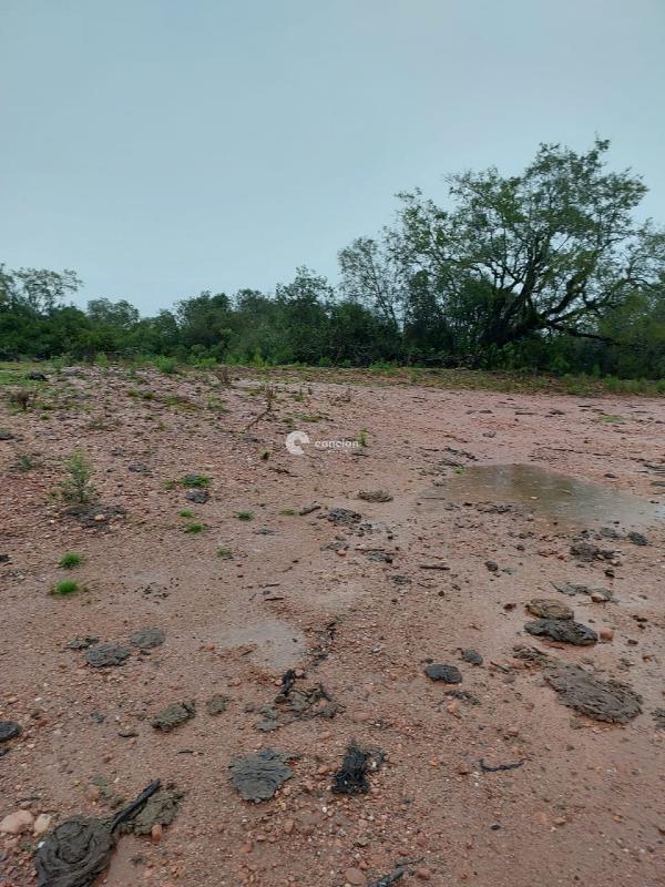 Fazenda à venda no Palmas: 