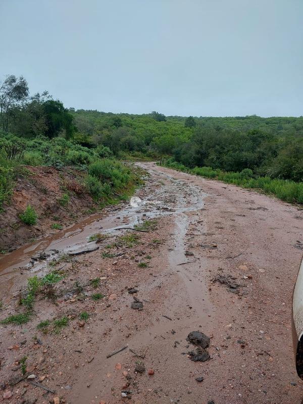 Fazenda à venda no Palmas: 