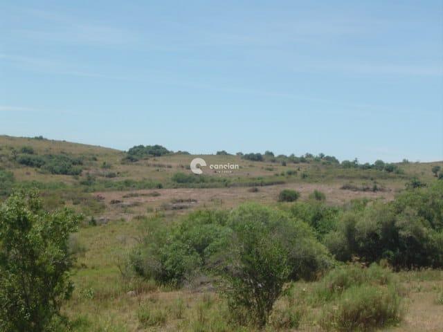 Fazenda à venda no Palmas: 