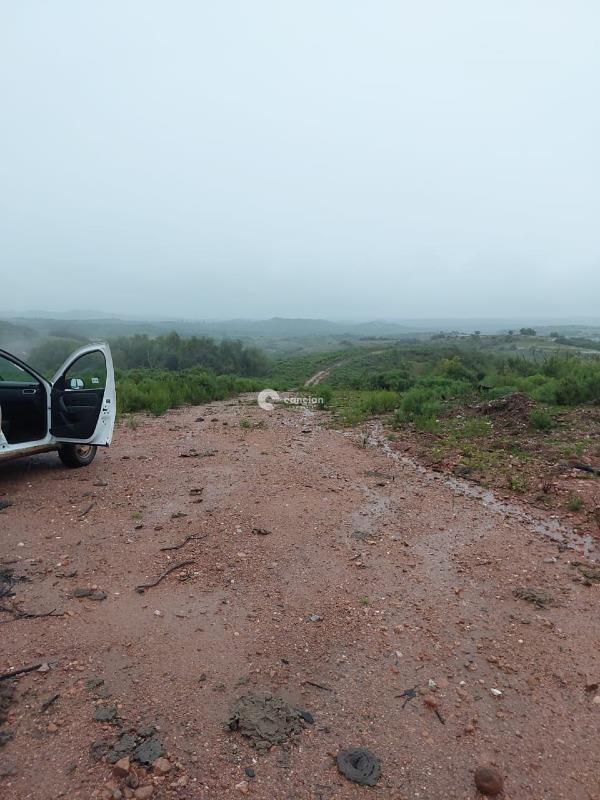 Fazenda à venda no Palmas: 