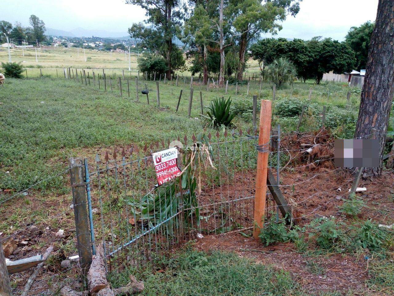 Terreno à venda no Pinheiro Machado: 