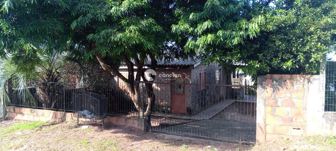 Terreno à venda no Pinheiro Machado: 