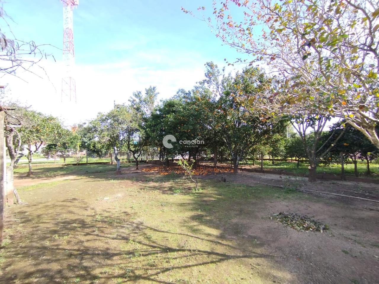 Terreno à venda no Boca do Monte: 