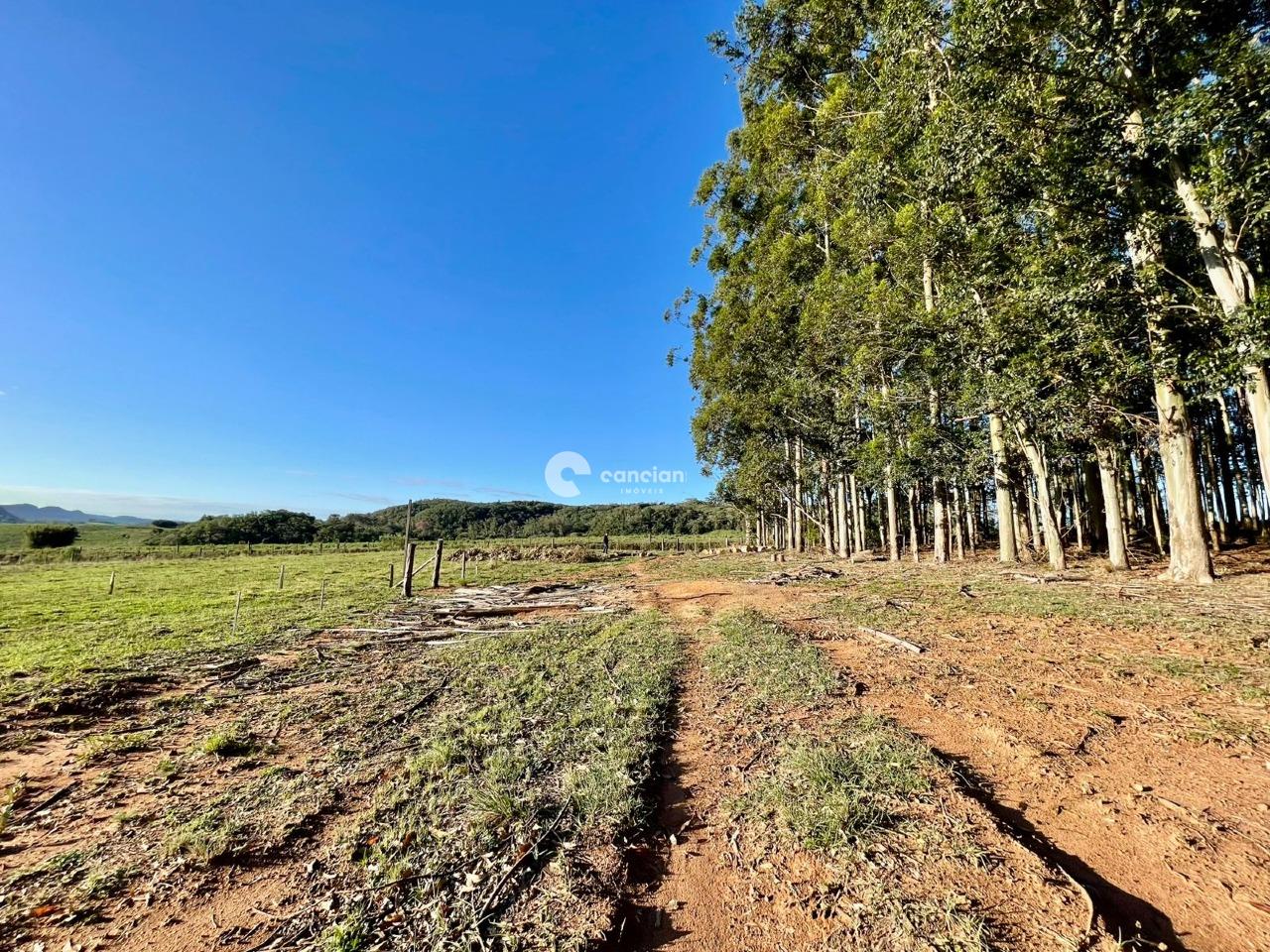 Chácara à venda no Centro: 