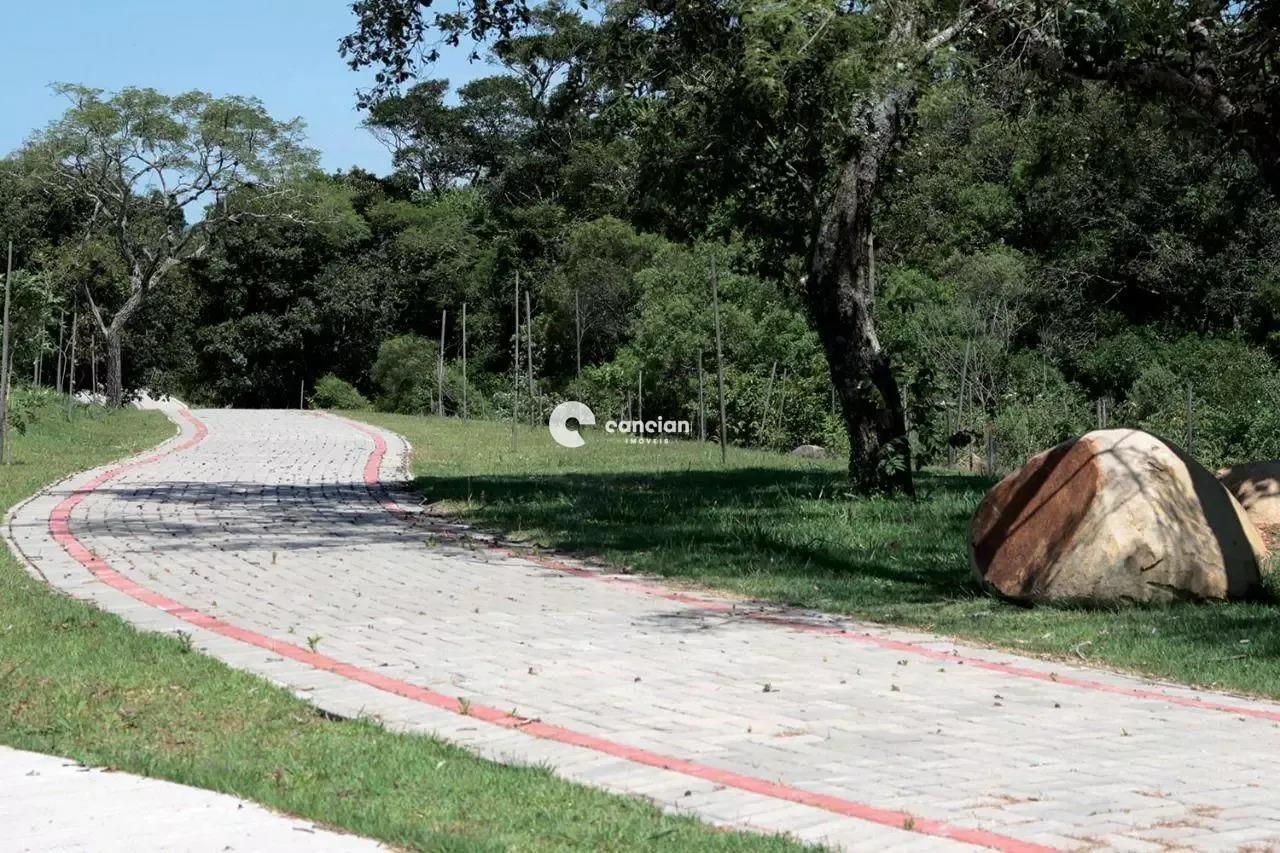 Terreno à venda no Tomazetti: 