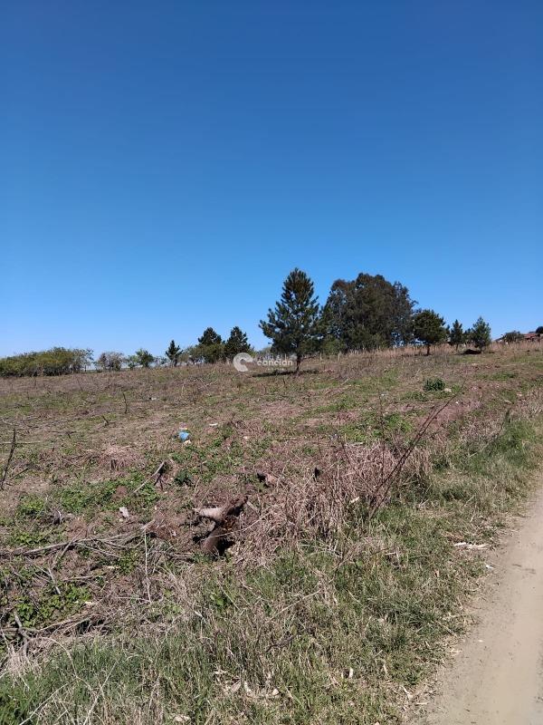 Terreno à venda no Jardim Berleze: 