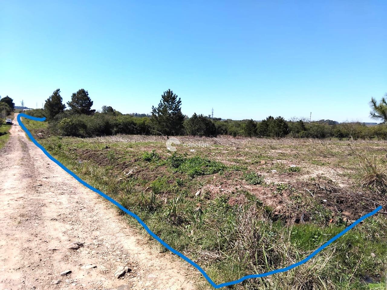 Terreno à venda no Jardim Berleze: 