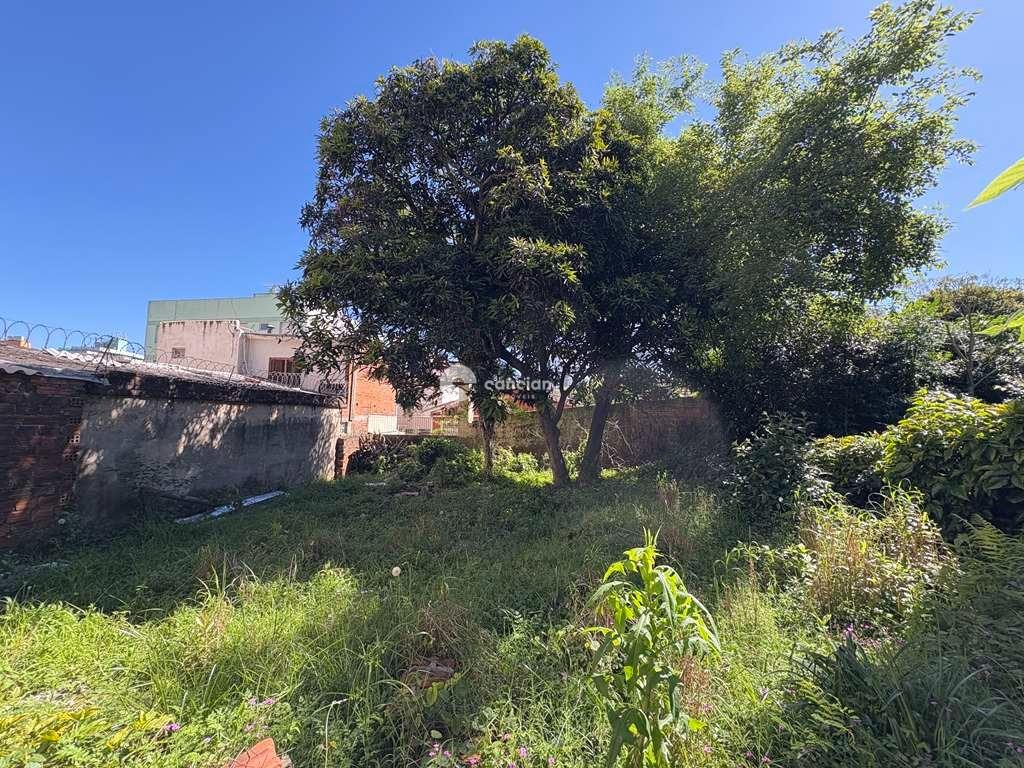 Terreno à venda no Centro: 