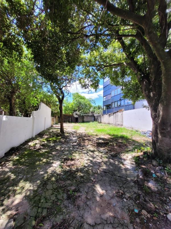 Casa Comercial para aluguel no Centro: 