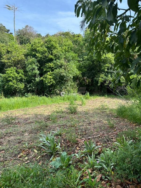 Fazenda à venda no Nossa Senhora do Perpétuo Socorro: 