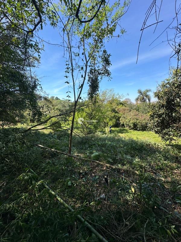 Fazenda à venda no Nossa Senhora do Perpétuo Socorro: 