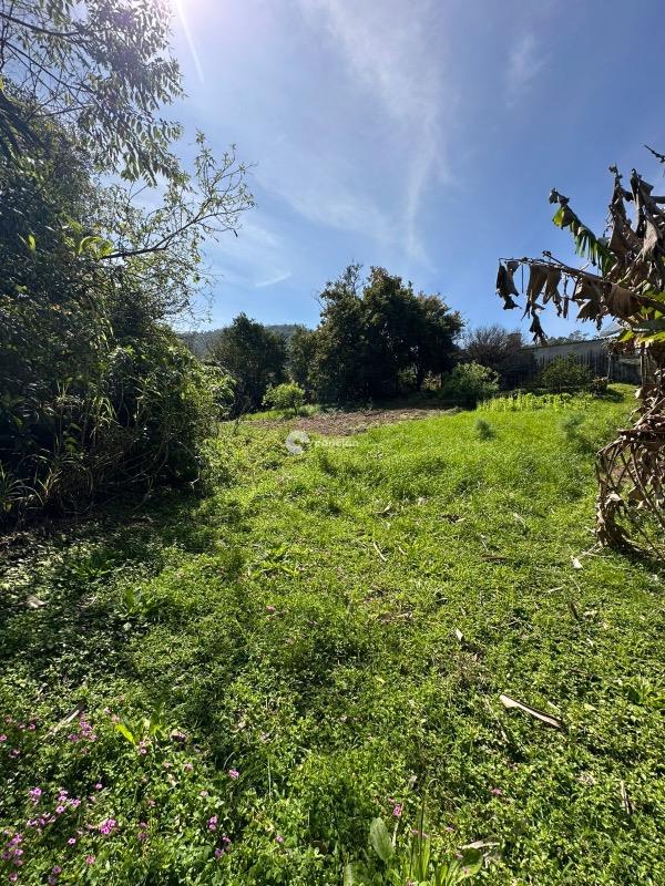 Fazenda à venda no Nossa Senhora do Perpétuo Socorro: 