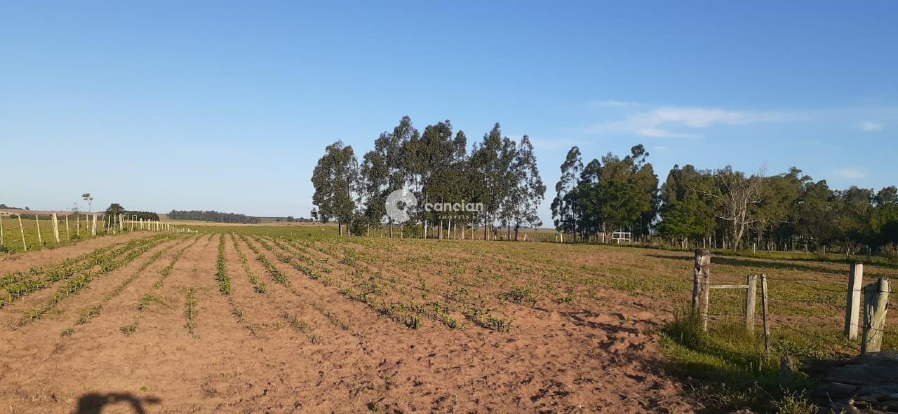 Chácara à venda no Zona Rural: 