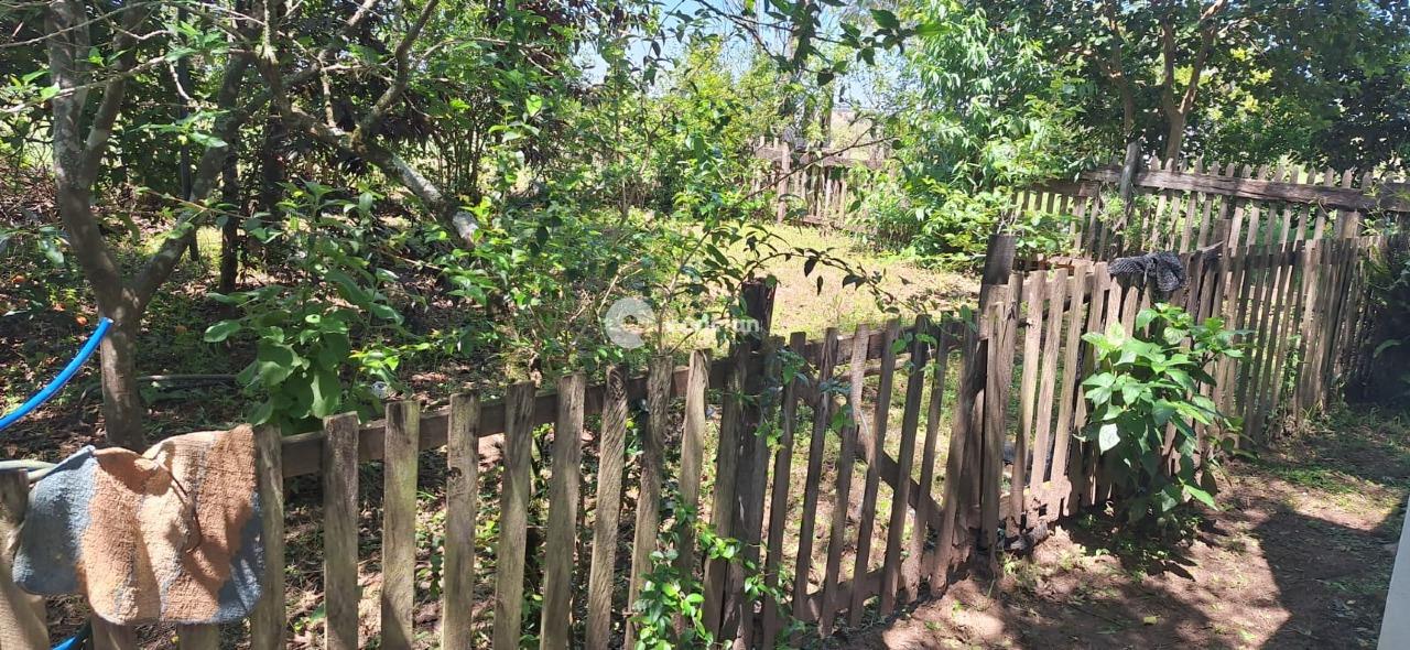 Chácara à venda no Zona Rural: 