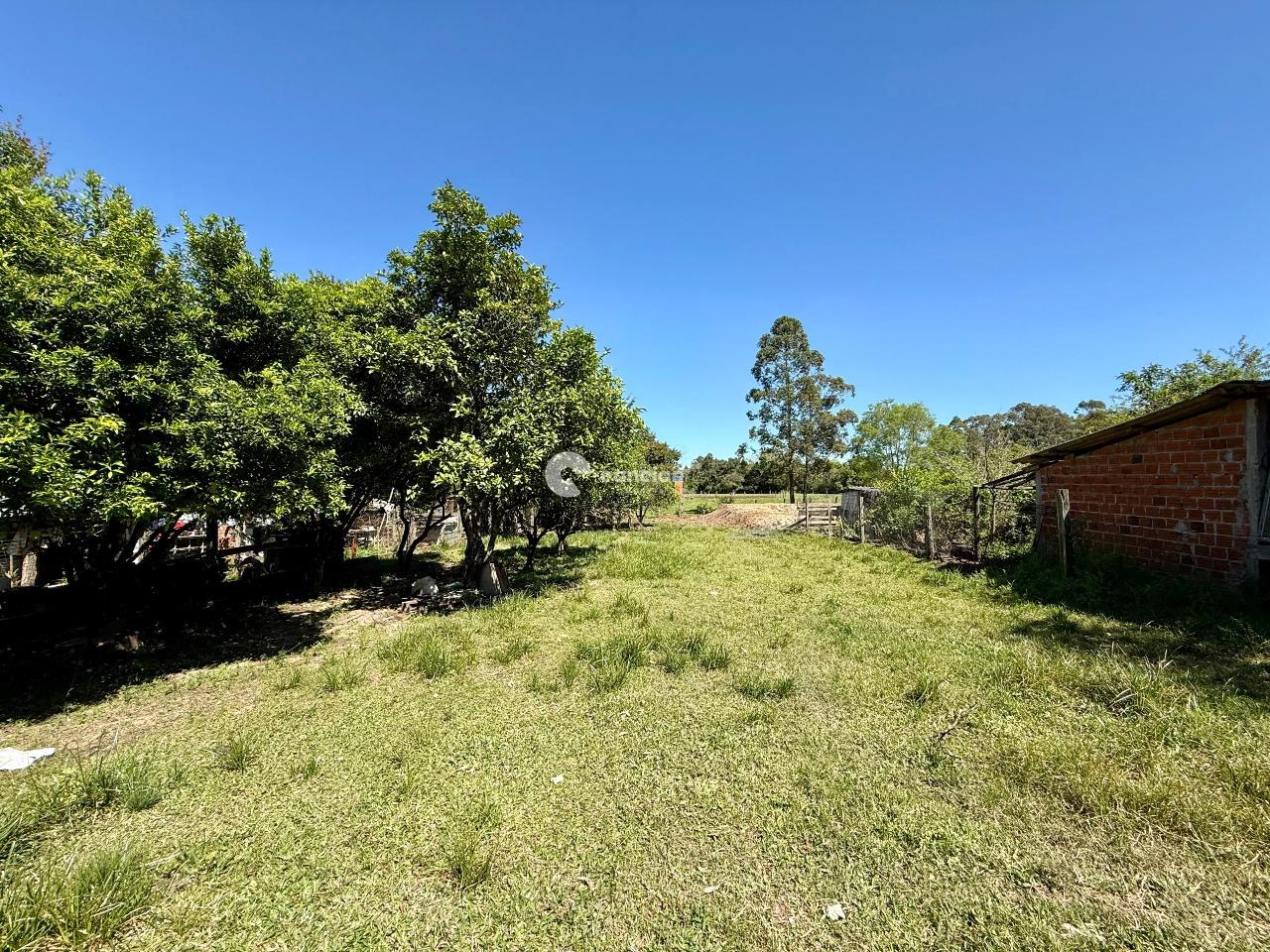 Chácara à venda no KM 215: 