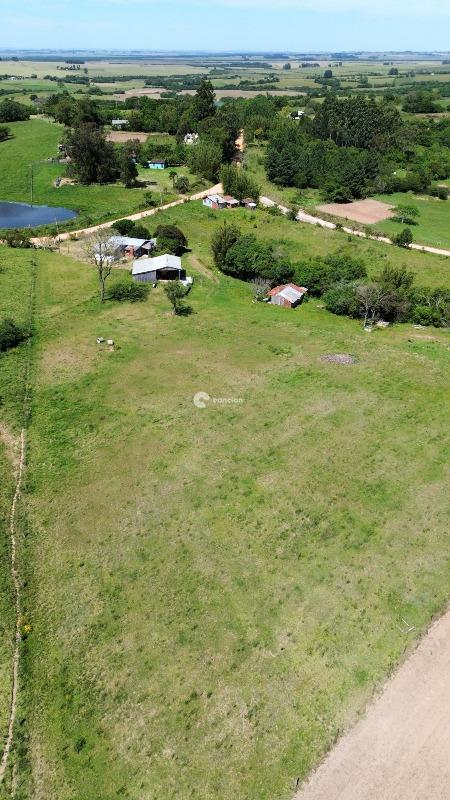 Chácara à venda no Arroio do Só: 