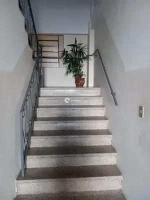 Sala Comercial para aluguel no Camobi: 