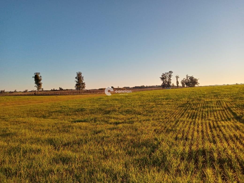 Área Rural à venda no Boca do Monte: 