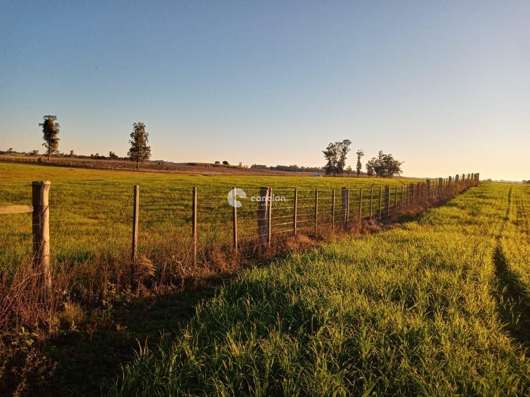 Área Rural à venda no Boca do Monte: 