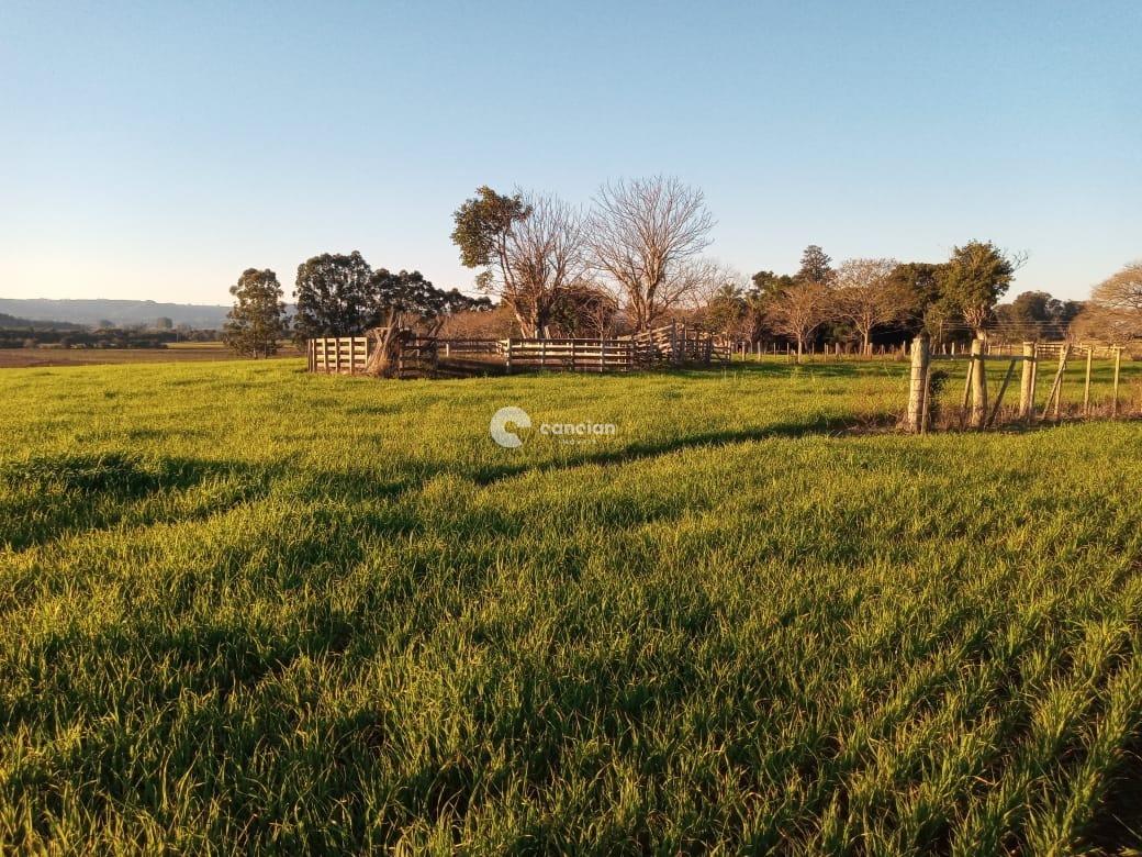Área Rural à venda no Boca do Monte: 